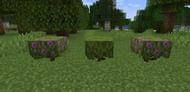 (Image via Minecraft)